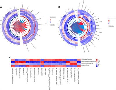 Shenling Baizhu San ameliorates non-alcoholic fatty liver disease in mice by modulating gut microbiota and metabolites